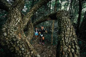 BIB: 
                            <button type="button" onclick="openModal(25392726)" class="btn btn-primary btn-sm float-right btn-popup" data-toggle="modal" data-target=".modal-high-quality">
                        <i class="fas fa-shopping-cart"></i> Add to Cart
                    </button>
                                            <button type="button" onclick="isThisMe(25392726, true)" class="btn btn-success btn-sm float-right btn-popup btn-isme hidden" data-toggle="tooltip" data-placement="bottom" title="นี่คือรูปของคุณใช่ไหม คลิกที่นี่เพื่อเอาเข้าอัลบั้ม">
                        <i class="fas fa-plus"></i> Add to album
                    </button>
                    <button type="button" onclick="isThisMe(25392726, false)" class="btn btn-warning btn-sm float-right btn-popup btn-isnotme hidden">
                        <i class="fas fa-ban"></i> Remove from album
                    </button>